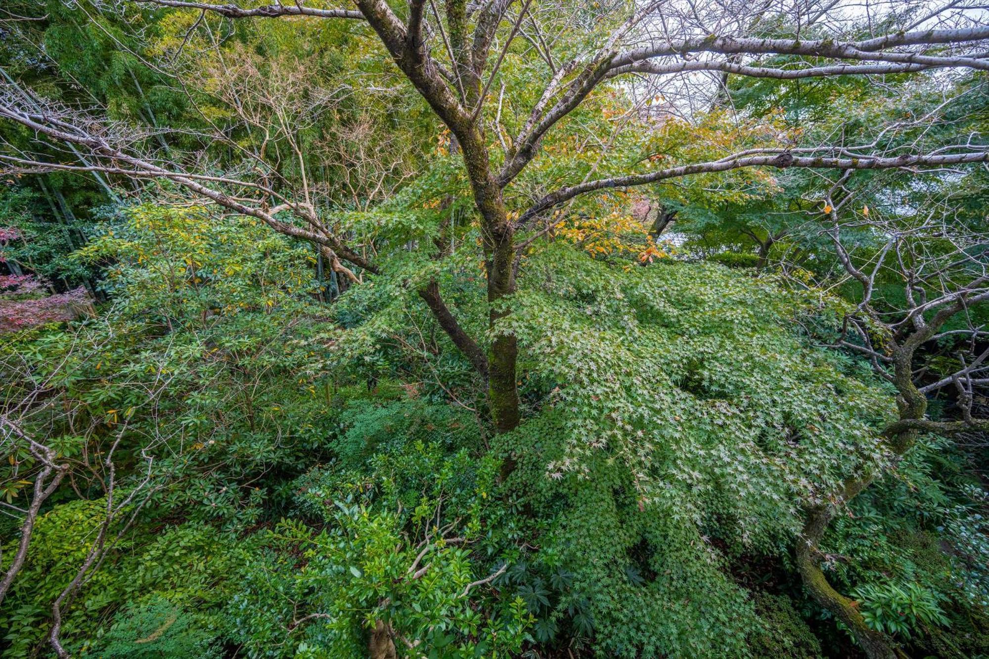 Jinya Ryokan Hadano Exterior photo